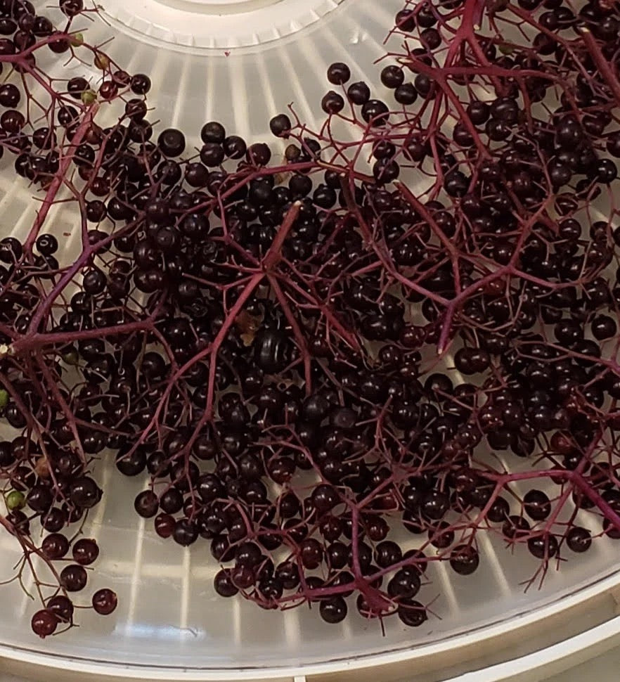 Elderberry Syrup