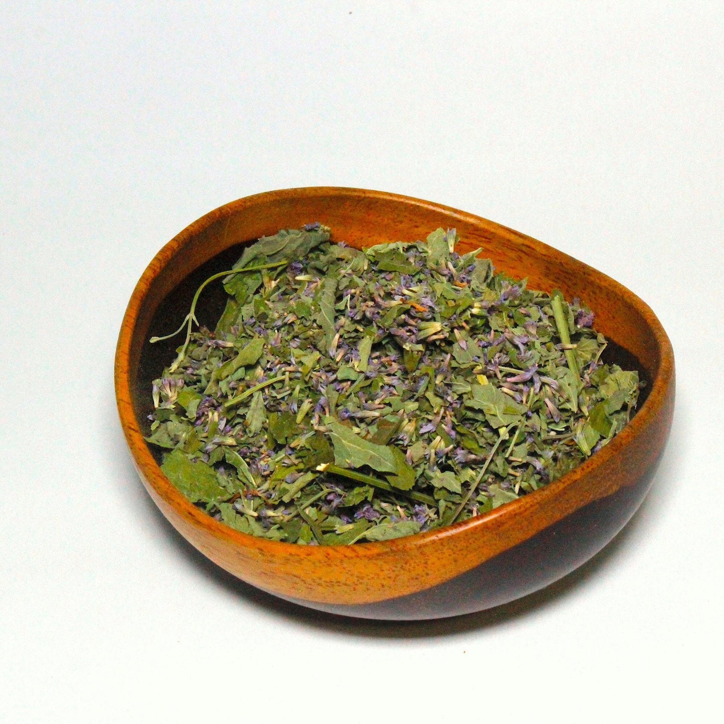 Anise Hyssop-Agastache Foeniculum-Organic