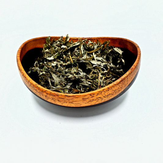 Mugwort-Artemisia Vulgaris-Wildcrafted